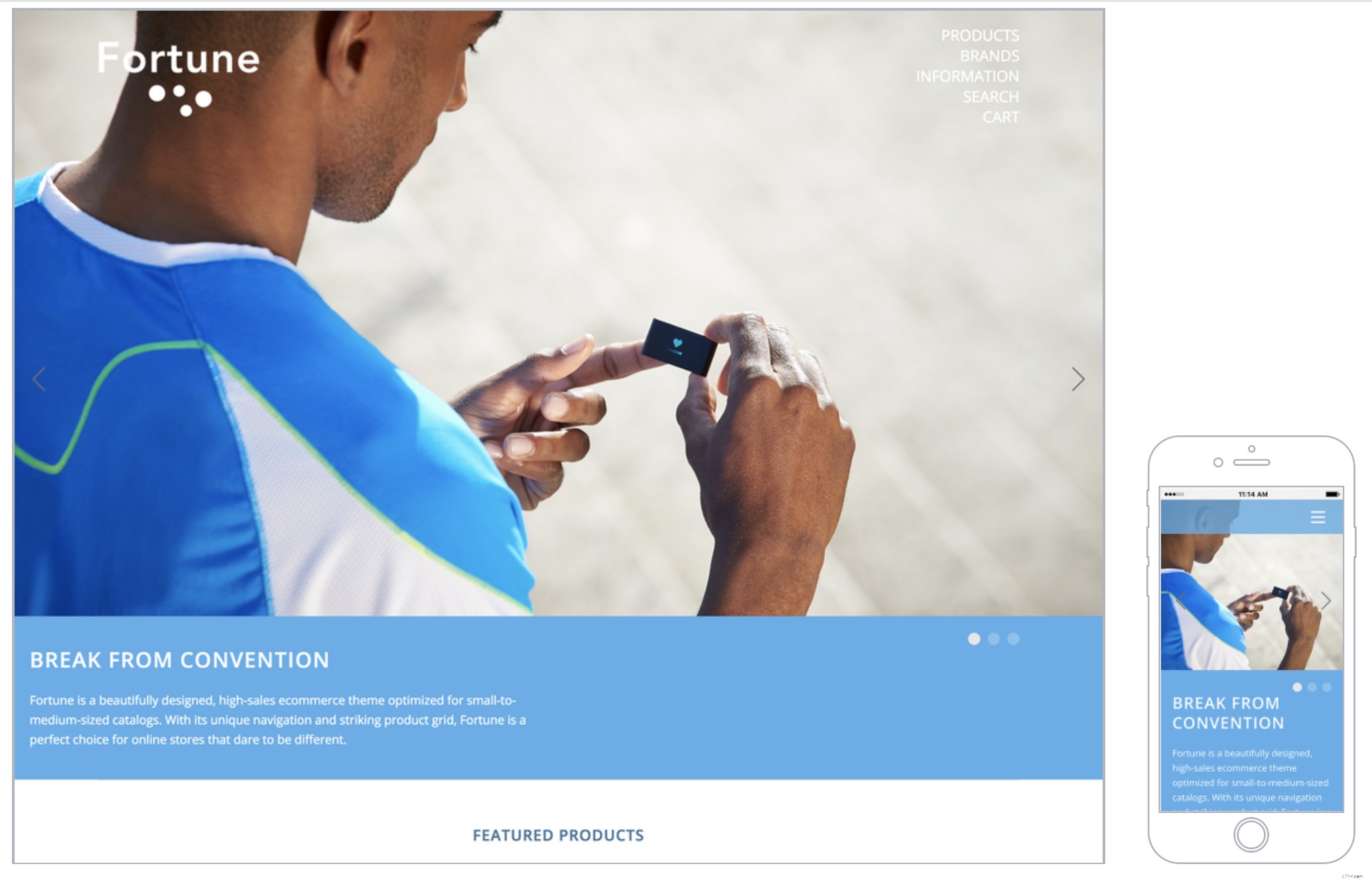 Choosing the Perfect Ecommerce Theme: A Comprehensive Guide