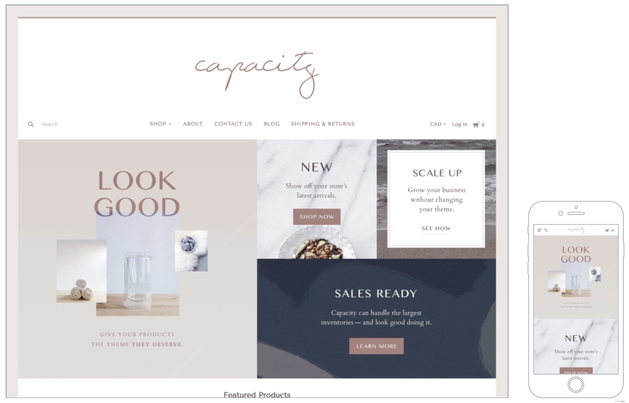 Choosing the Perfect Ecommerce Theme: A Comprehensive Guide