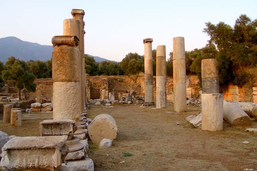 A History of Retail: From Ancient Markets to Modern Stores