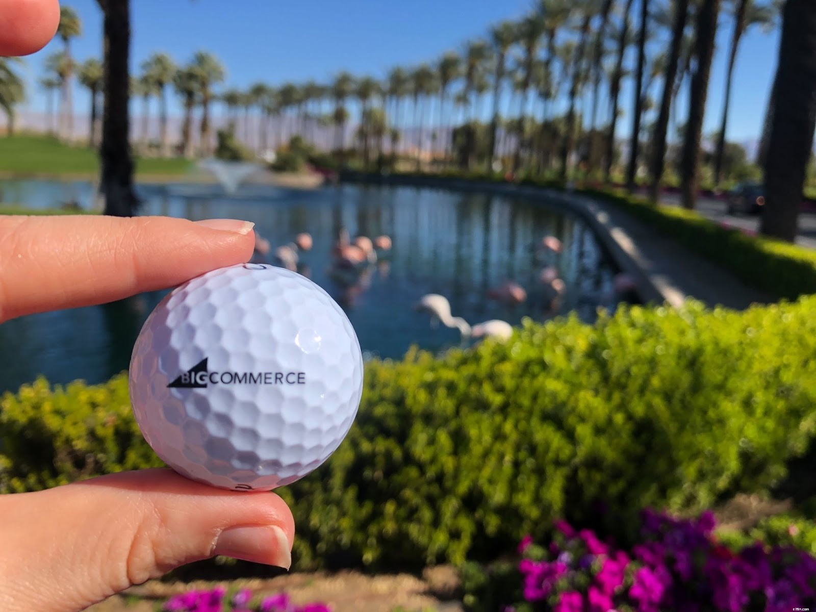 BigCommerce at eTail West 2022: Driving Ecommerce Growth Strategies