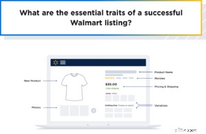 Mastering Walmart Marketplace: A Comprehensive Guide for Sellers