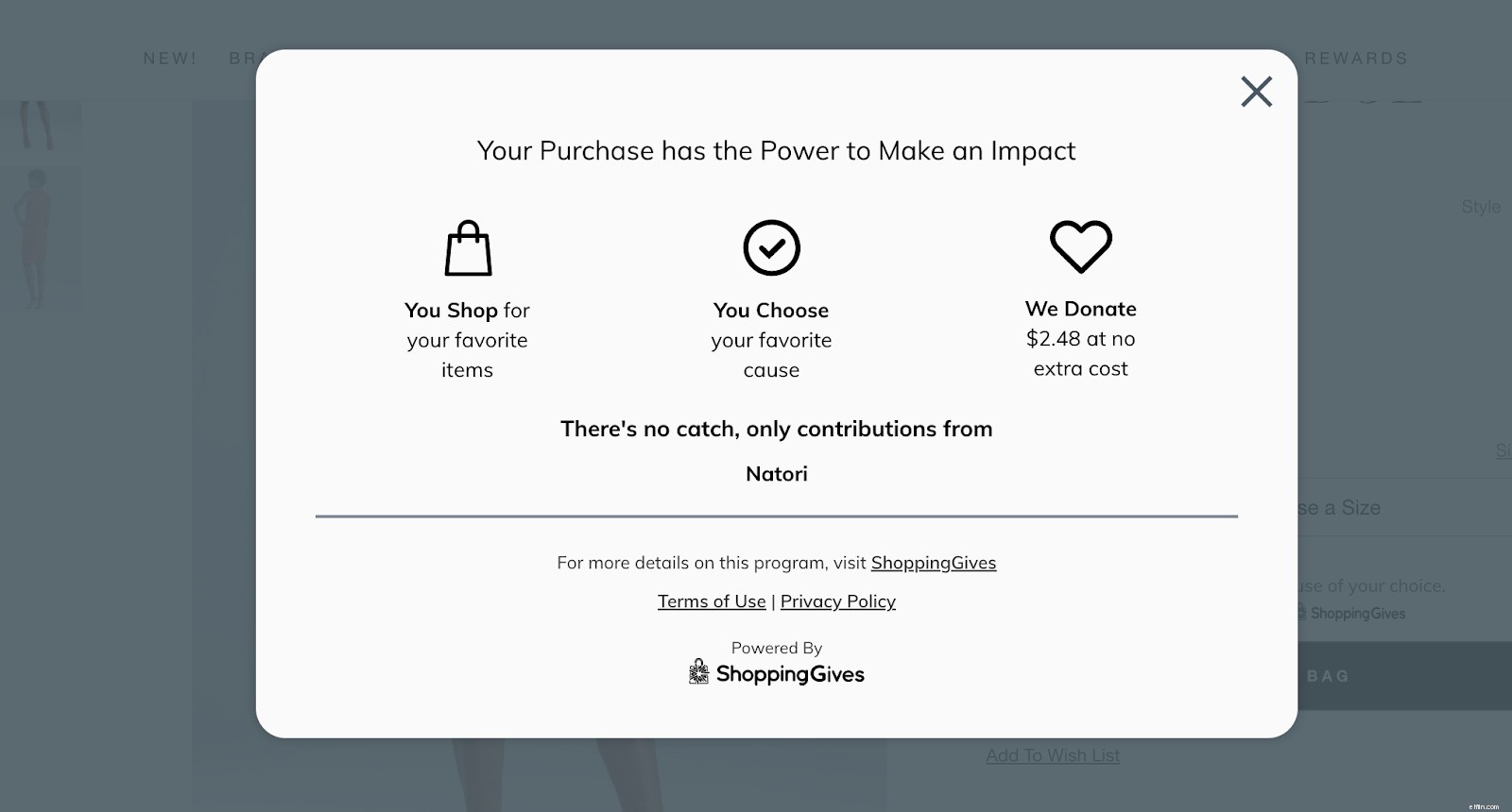 Ecommerce Popups: Strategies for Customer Engagement & Conversions