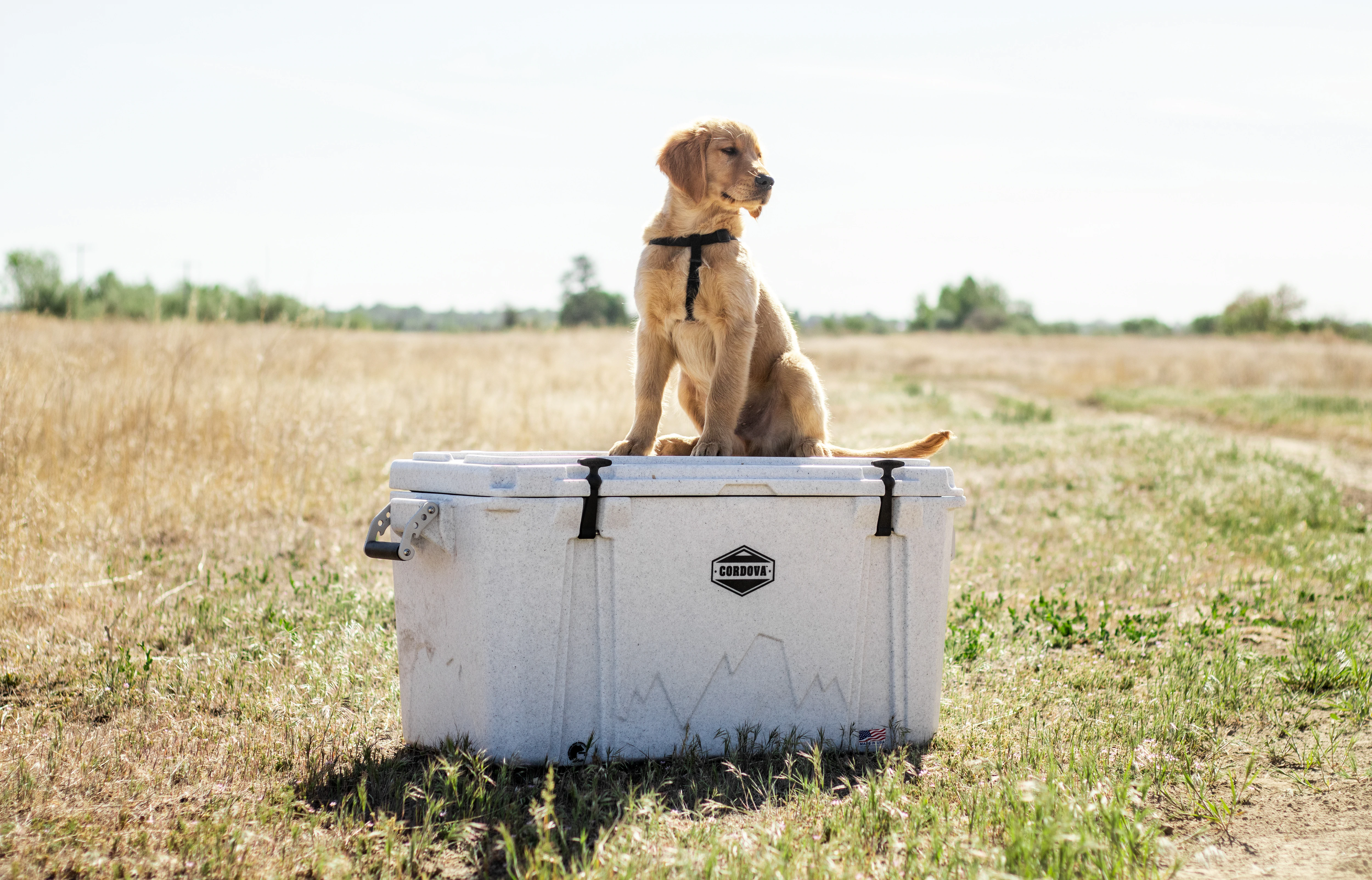 2020 Holiday Gift Guide: Unique Gifts from BigCommerce Brands