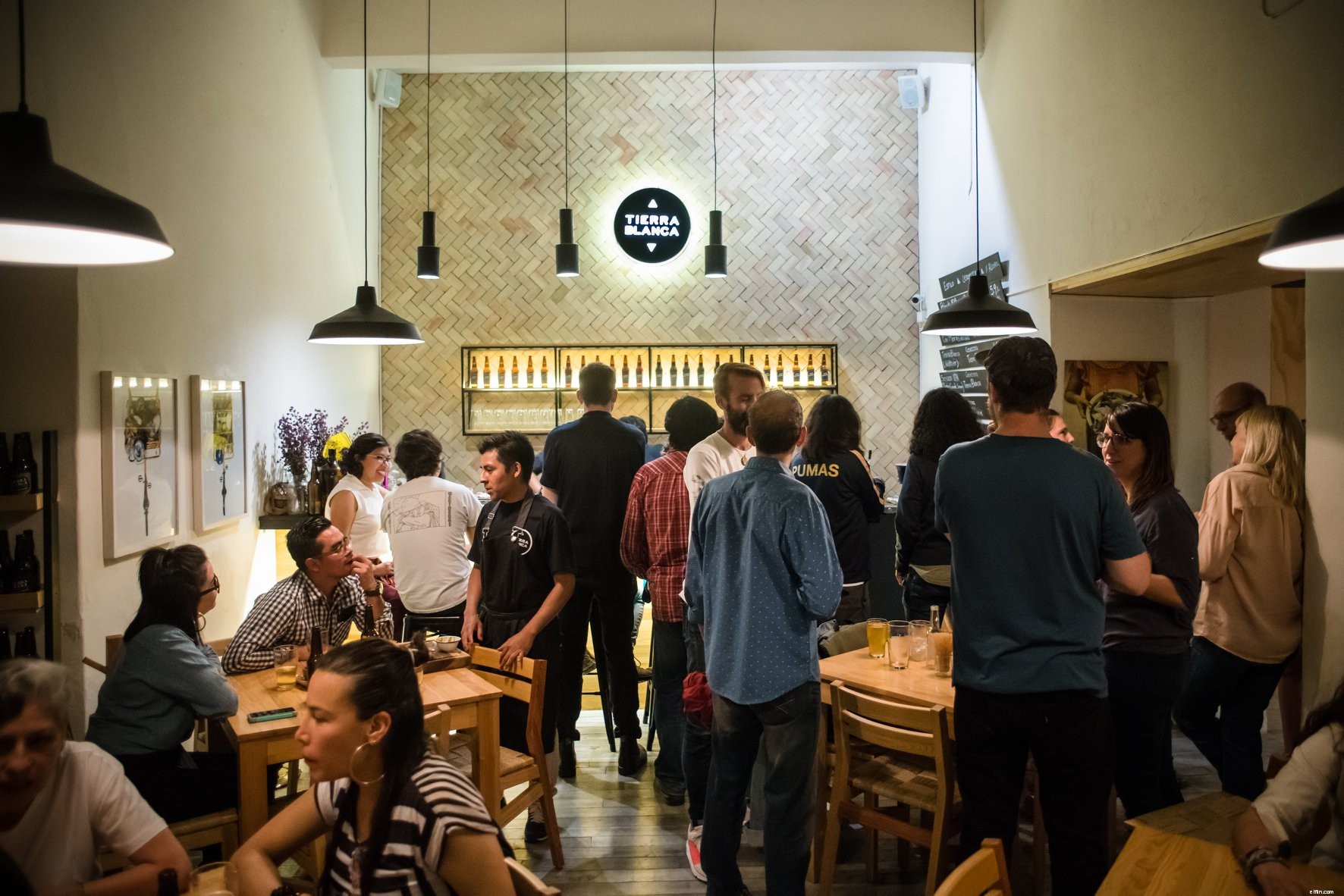 Tierra Blanca Brewery: Craft Beer Crafted with Local Flavors in Mexico