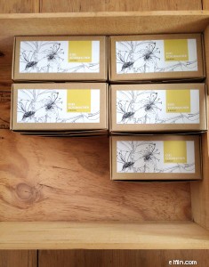 Kiri Schumacher Jewellery: Balancing Creativity & Business Growth