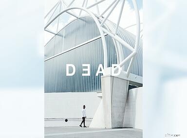 DEAD Studios: Kylie Jenner Spotted Wearing Australian Streetwear