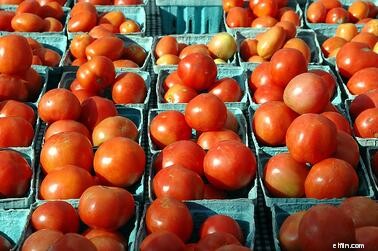 Food Safety: Batch & Expiry Tracking for F&B Businesses