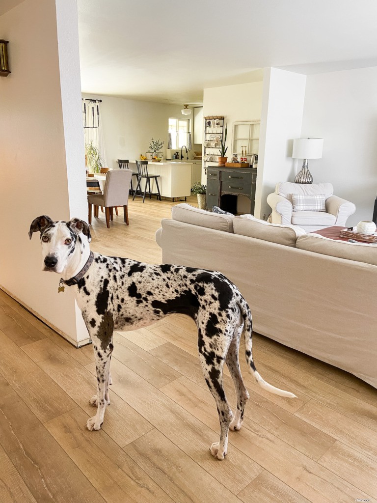 Home Office Makeover: Before & After Remodel Ideas & Expert Tips