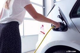 Top Renewable Energy Stocks for Sustainable Investing - 2024