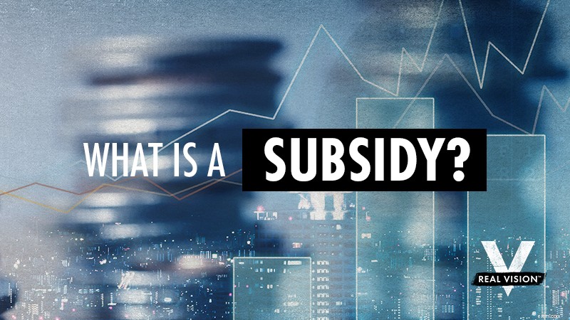 Understanding Subsidies: Definition, Types & Economic Impact