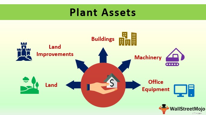 Plant Assets: Definition, Management & Distinction