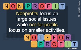 Understanding Not-for-Profit Organizations: A Comprehensive Guide