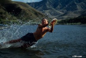 Understanding Wills: A Guide to Estate Planning