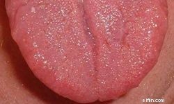 Unusual Insurance: Discover What Lloyds of London Covers