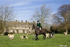 Certified Financial Planners: Benefits for Everyone