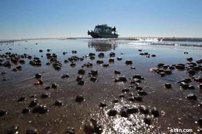 Identifying Investment Risks: 10 Key Factors to Consider