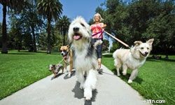 Turn Your Passion Into Profit: 10 Hobbies That Generate Income