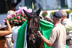 Racehorse Investing: Risks & Realities - Is it Worth the Gamble?