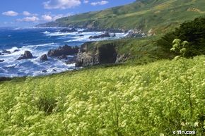 Understanding Land Trusts: A History and Benefits