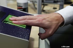 Failed Business Ideas: Lessons Learned from Online Ventures