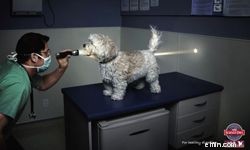 Innovative Ad Campaigns: 10 Creative Campaigns You Need to See