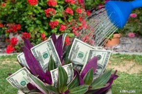 Optimizing Retirement Income: Where to Store Your Funds