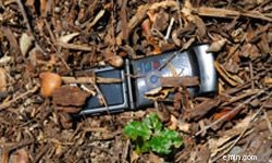 Secure Your Mobile Banking: 5 Essential Security Tips