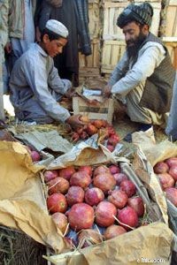 Understanding the Fair Credit Reporting Act (FCRA): Your Rights & Credit