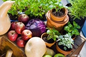 Organic Food Costs: Understanding the Price Difference & Value