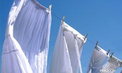 Store Brands vs. Name Brands: Which Offers the Best Value?