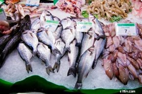 Safe Fish Buying Guide: Avoiding Contamination & Ensuring Quality