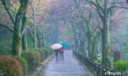 Hidden Travel Expenses: 5 Unexpected Costs to Prepare For