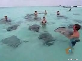 Hidden Travel Expenses: 5 Unexpected Costs to Prepare For