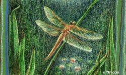 Budget-Friendly Home Decor: 10 Frugal Ideas to Refresh Your Space