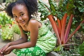 Save Money & Eat Fresh: The Financial Benefits of Home Gardening