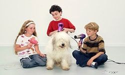 Affordable Pet Care: 5 Smart Budgeting Strategies