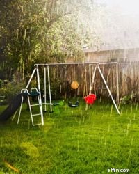 Budget-Friendly Backyard Landscaping Ideas to Boost Curb Appeal