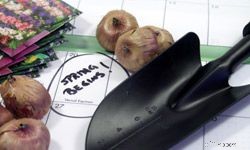 Budget-Friendly Backyard Landscaping Ideas to Boost Curb Appeal