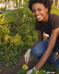 Budget-Friendly Backyard Landscaping Ideas to Boost Curb Appeal