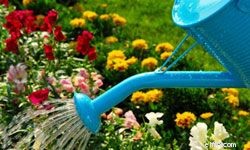 Cut TV & Internet Costs: 10 Proven Money-Saving Strategies