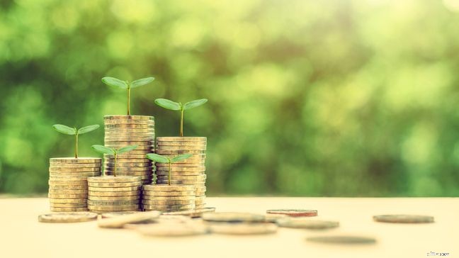 Personal Loans: Types, Application & What You Need to Know