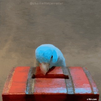 50/30/20 Budgeting: A Simple Guide to Financial Success