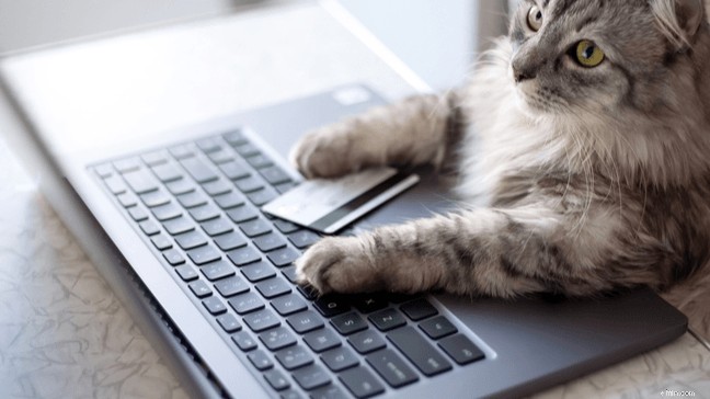 Mastering Credit Cards: A Guide to Responsible Use & Debt Avoidance