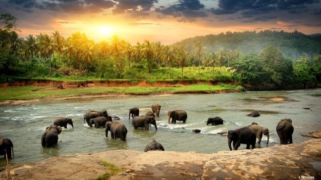 Budget-Friendly International Travel Destinations: Explore the World Without Breaking the Bank