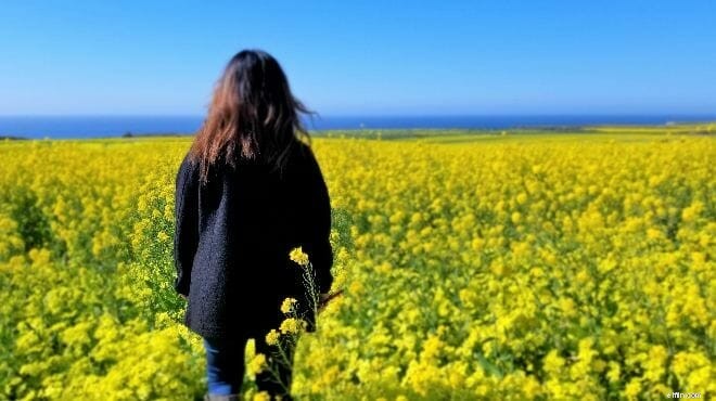 Discover: 10 Underrated & Affordable US Travel Destinations