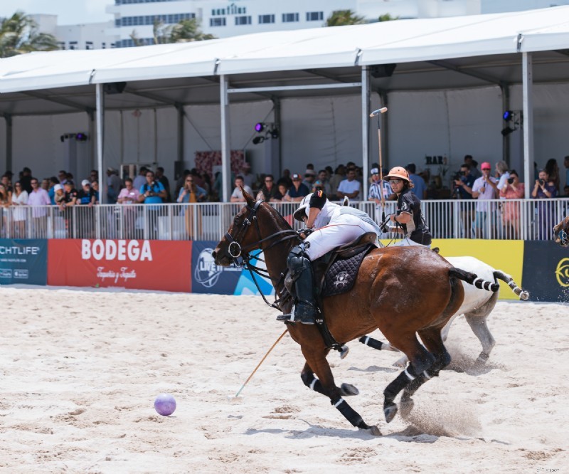 Florida Events 2022: Top 10 Must-Attend Festivals & Shows
