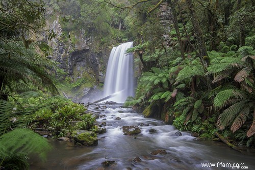 Great Ocean Road: 7 Must-See Stops for an Unforgettable Australian Road Trip