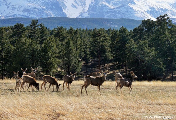 Top US National Parks: Unforgettable Adventures & Experiences