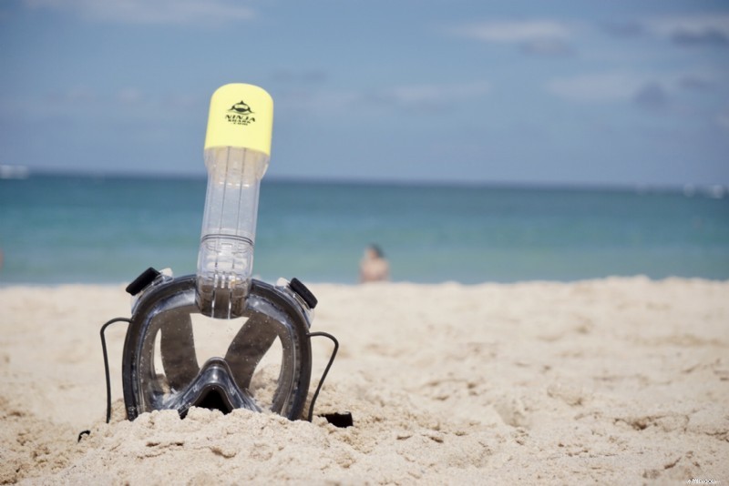 Top 5 Snorkeling Destinations in the USA: Explore Underwater Wonders