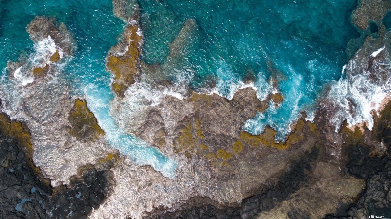 Top 5 Snorkeling Destinations in the USA: Explore Underwater Wonders